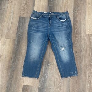 Vigoss Distressed Blue Cropped Jeans